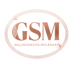 GSM Volendam logo